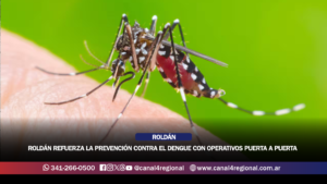ROLDÁN REFUERZA PREVENCIÓN CONTRA EL DENGUE CON OPERATIVOS PUERTA A PUERTA