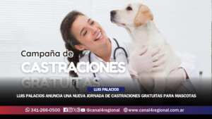 LUIS PALACIOS ANUNCIA UNA NUEVA JORNADA DE CASTRACIONES GRATUITAS PARA MASCOTAS