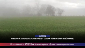 COSECHA DE SOJA: ALERTA POR RETRASOS Y EXCESOS HÍDRICOS EN LA REGIÓN NÚCLEO
