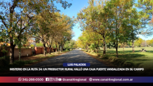 ALERTA POR MASA DE AIRE FRÍO: SE ESPERAN RÁFAGAS DE 65 KM/H Y HELADAS PARA EL INICIO DE LA SEMANA