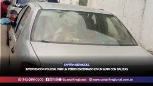 CAPITÁN BERMÚDEZ: INTERVENCIÓN POLICIAL POR UN PERRO ENCERRADO EN UN AUTO CON BALIZAS