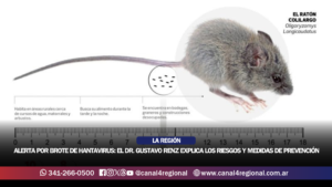 ALERTA POR BROTE DE HANTAVIRUS: EL DR. GUSTAVO RENZ EXPLICA LOS RIESGOS Y MEDIDAS DE PREVENCIÓN