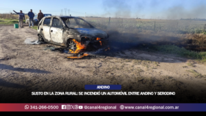 SUSTO EN LA ZONA RURAL: SE INCENDIÓ UN AUTOMÓVIL ENTRE ANDINO Y SERODINO
