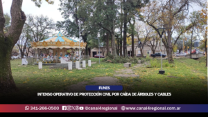 TORMENTA EN FUNES: INTENSO OPERATIVO DE PROTECCIÓN CIVIL POR CAÍDA DE ÁRBOLES Y CABLES