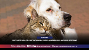 NUEVA JORNADA DE CASTRACIÓN GRATUITA PARA PERROS Y GATOS EN SERODINO