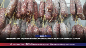 PREVENCIÓN DE LA TRIQUINOSIS: PROVINCIA Y MUNICIPIOS INTENSIFICAN ACCIONES ANTE EL INICIO DE LA TEMPORADA DE FAENA
