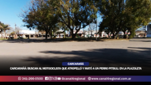 CARCARAÑÁ: BUSCAN AL MOTOCICLISTA QUE ATROPELLÓ Y MATÓ A UN PERRO PITBULL EN LA PLAZOLETA DE LOS INMIGRANTES