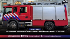 LUCIO V. LÓPEZ: UN TRABAJADOR RURAL RESULTÓ HERIDO TRAS SER GOLPEADO POR UNA VACA EN UN TAMBO