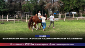 RECUPERARON SANOS Y SALVOS A LOS CINCO CABALLOS DE EQUINOTERAPIA ROBADOS EN «RAÍCES ECUESTRES»