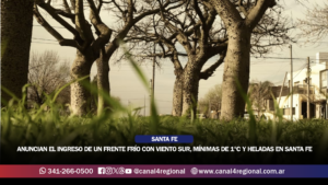 ANUNCIAN EL INGRESO DE UN FRENTE FRÍO CON VIENTO SUR, MÍNIMAS DE 1°C Y HELADAS EN SANTA FE