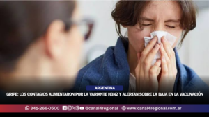 GRIPE EN ARGENTINA: LOS CONTAGIOS AUMENTARON HASTA UN 15% POR LA VARIANTE H3N2 Y ALERTAN SOBRE LA BAJA EN LA VACUNACIÓN