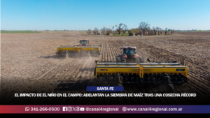 EL IMPACTO DE EL NIÑO EN EL CAMPO: ADELANTAN LA SIEMBRA DE MAÍZ TRAS UNA COSECHA RÉCORD HISTÓRICA