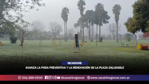 RICARDONE: AVANZA LA PODA PREVENTIVA Y LA RENOVACIÓN DE LA PLAZA SALUDABLE